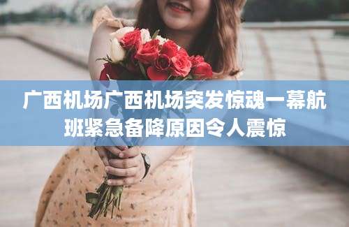 广西机场广西机场突发惊魂一幕航班紧急备降原因令人震惊