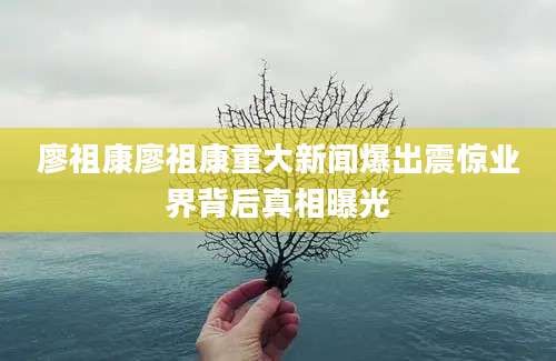廖祖康廖祖康重大新闻爆出震惊业界背后真相曝光