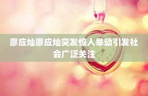 廖应灿廖应灿突发惊人举动引发社会广泛关注