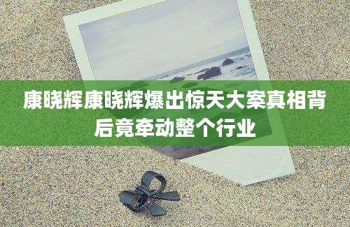 康晓辉康晓辉爆出惊天大案真相背后竟牵动整个行业