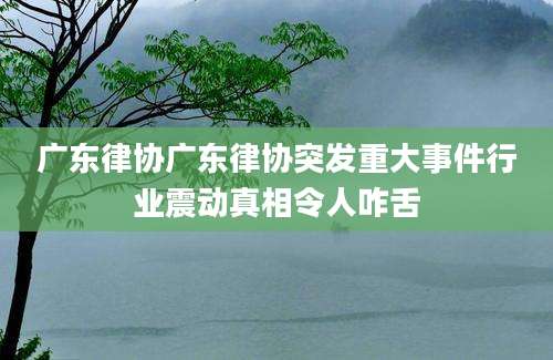 广东律协广东律协突发重大事件行业震动真相令人咋舌