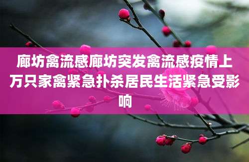 廊坊禽流感廊坊突发禽流感疫情上万只家禽紧急扑杀居民生活紧急受影响