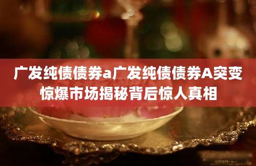 广发纯债债券a广发纯债债券A突变惊爆市场揭秘背后惊人真相