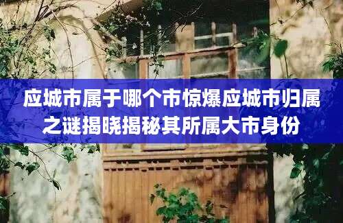 应城市属于哪个市惊爆应城市归属之谜揭晓揭秘其所属大市身份