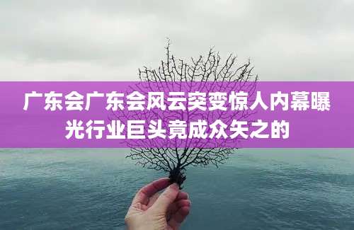 广东会广东会风云突变惊人内幕曝光行业巨头竟成众矢之的