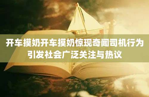 开车摸奶开车摸奶惊现奇闻司机行为引发社会广泛关注与热议