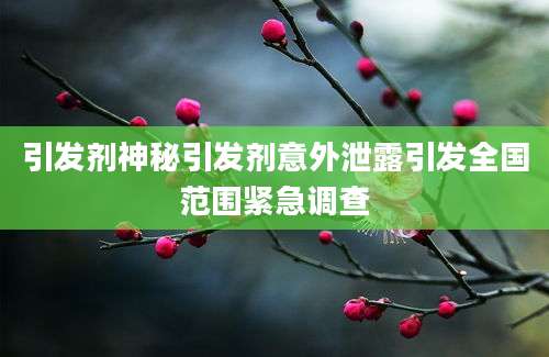 引发剂神秘引发剂意外泄露引发全国范围紧急调查