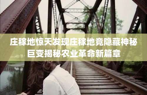 庄稼地惊天发现庄稼地竟隐藏神秘巨变揭秘农业革命新篇章