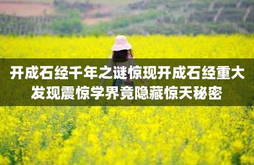 开成石经千年之谜惊现开成石经重大发现震惊学界竟隐藏惊天秘密