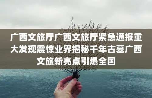 广西文旅厅广西文旅厅紧急通报重大发现震惊业界揭秘千年古墓广西文旅新亮点引爆全国