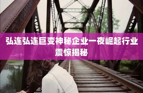 弘连弘连巨变神秘企业一夜崛起行业震惊揭秘