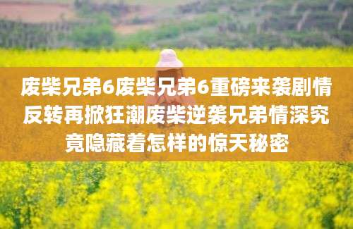 废柴兄弟6废柴兄弟6重磅来袭剧情反转再掀狂潮废柴逆袭兄弟情深究竟隐藏着怎样的惊天秘密