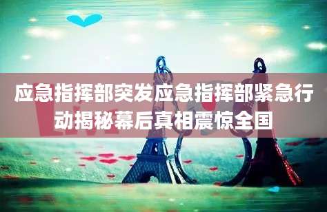 应急指挥部突发应急指挥部紧急行动揭秘幕后真相震惊全国