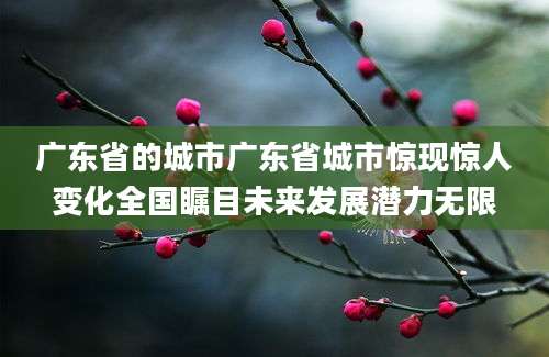 广东省的城市广东省城市惊现惊人变化全国瞩目未来发展潜力无限