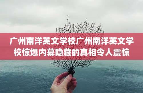 广州南洋英文学校广州南洋英文学校惊爆内幕隐藏的真相令人震惊