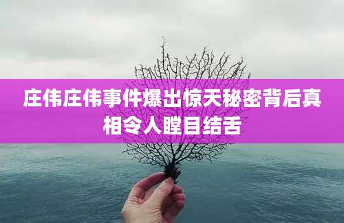 庄伟庄伟事件爆出惊天秘密背后真相令人瞠目结舌