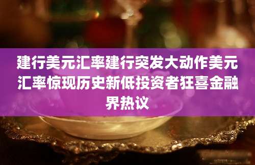 建行美元汇率建行突发大动作美元汇率惊现历史新低投资者狂喜金融界热议