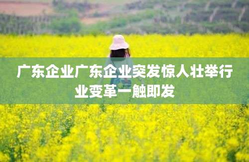 广东企业广东企业突发惊人壮举行业变革一触即发