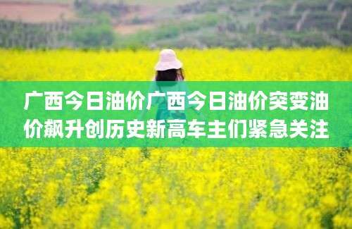 广西今日油价广西今日油价突变油价飙升创历史新高车主们紧急关注