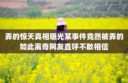弄的惊天真相曝光某事件竟然被弄的如此离奇网友直呼不敢相信
