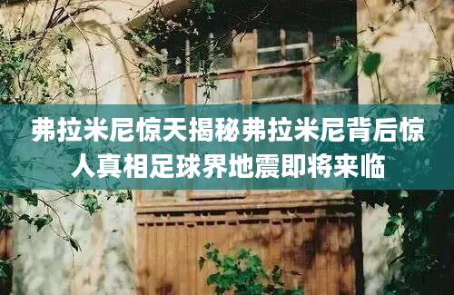 弗拉米尼惊天揭秘弗拉米尼背后惊人真相足球界地震即将来临