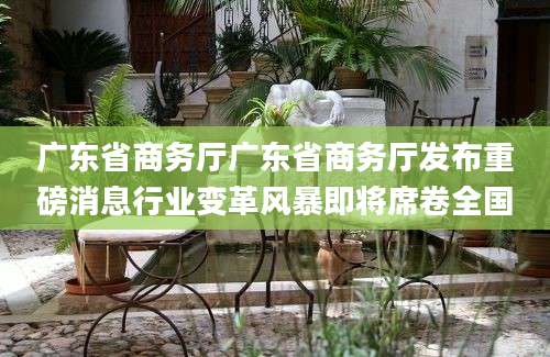 广东省商务厅广东省商务厅发布重磅消息行业变革风暴即将席卷全国