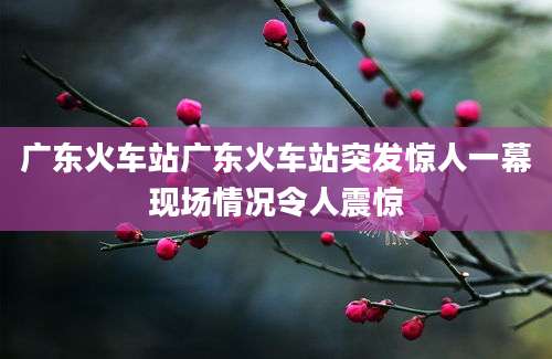 广东火车站广东火车站突发惊人一幕现场情况令人震惊