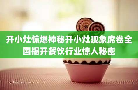 开小灶惊爆神秘开小灶现象席卷全国揭开餐饮行业惊人秘密