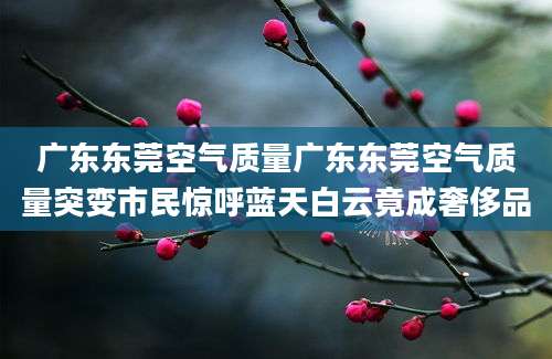 广东东莞空气质量广东东莞空气质量突变市民惊呼蓝天白云竟成奢侈品