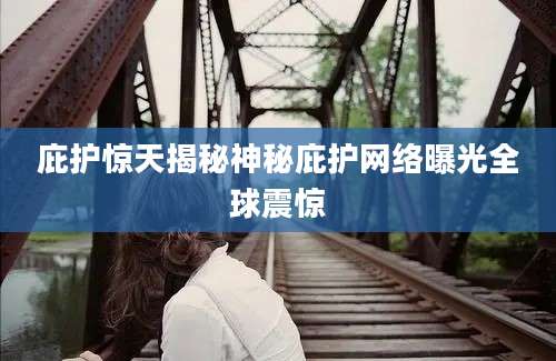 庇护惊天揭秘神秘庇护网络曝光全球震惊