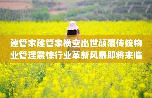 建管家建管家横空出世颠覆传统物业管理震惊行业革新风暴即将来临