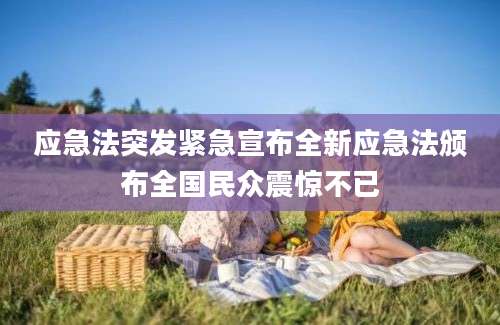 应急法突发紧急宣布全新应急法颁布全国民众震惊不已