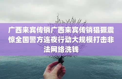 广西来宾传销广西来宾传销猖獗震惊全国警方连夜行动大规模打击非法网络洗钱