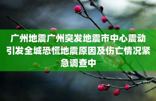 广州地震广州突发地震市中心震动引发全城恐慌地震原因及伤亡情况紧急调查中