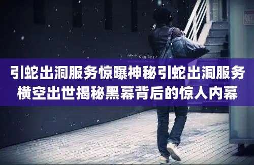 引蛇出洞服务惊曝神秘引蛇出洞服务横空出世揭秘黑幕背后的惊人内幕