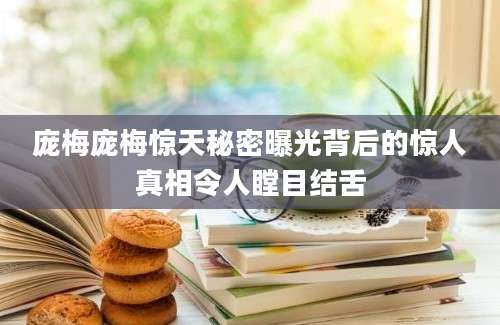 庞梅庞梅惊天秘密曝光背后的惊人真相令人瞠目结舌