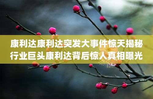康利达康利达突发大事件惊天揭秘行业巨头康利达背后惊人真相曝光