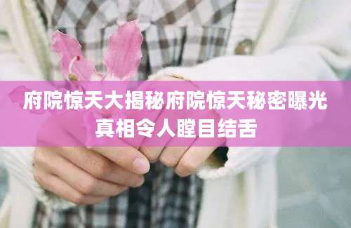 府院惊天大揭秘府院惊天秘密曝光真相令人瞠目结舌