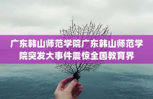 广东韩山师范学院广东韩山师范学院突发大事件震惊全国教育界