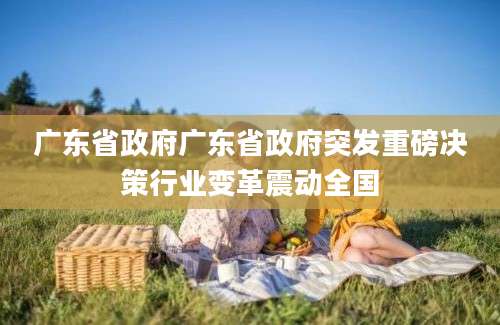 广东省政府广东省政府突发重磅决策行业变革震动全国