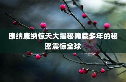 康纳康纳惊天大揭秘隐藏多年的秘密震惊全球