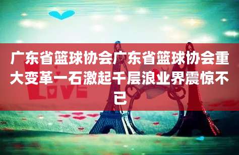 广东省篮球协会广东省篮球协会重大变革一石激起千层浪业界震惊不已