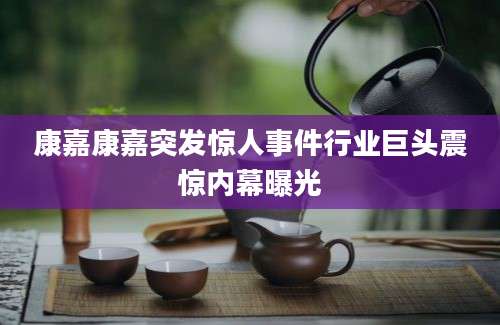 康嘉康嘉突发惊人事件行业巨头震惊内幕曝光