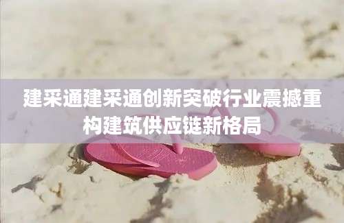 建采通建采通创新突破行业震撼重构建筑供应链新格局