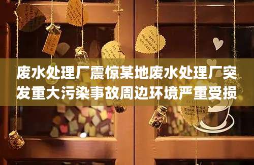 废水处理厂震惊某地废水处理厂突发重大污染事故周边环境严重受损