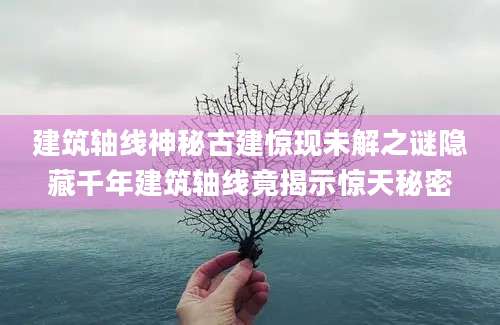 建筑轴线神秘古建惊现未解之谜隐藏千年建筑轴线竟揭示惊天秘密