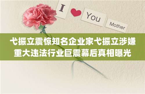 弋振立震惊知名企业家弋振立涉嫌重大违法行业巨震幕后真相曝光