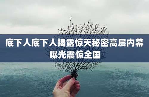 底下人底下人揭露惊天秘密高层内幕曝光震惊全国