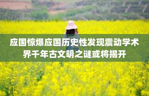 应国惊爆应国历史性发现震动学术界千年古文明之谜或将揭开