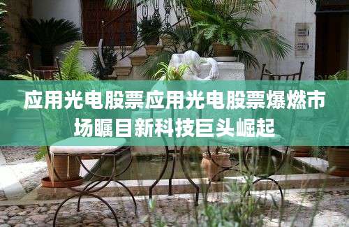 应用光电股票应用光电股票爆燃市场瞩目新科技巨头崛起